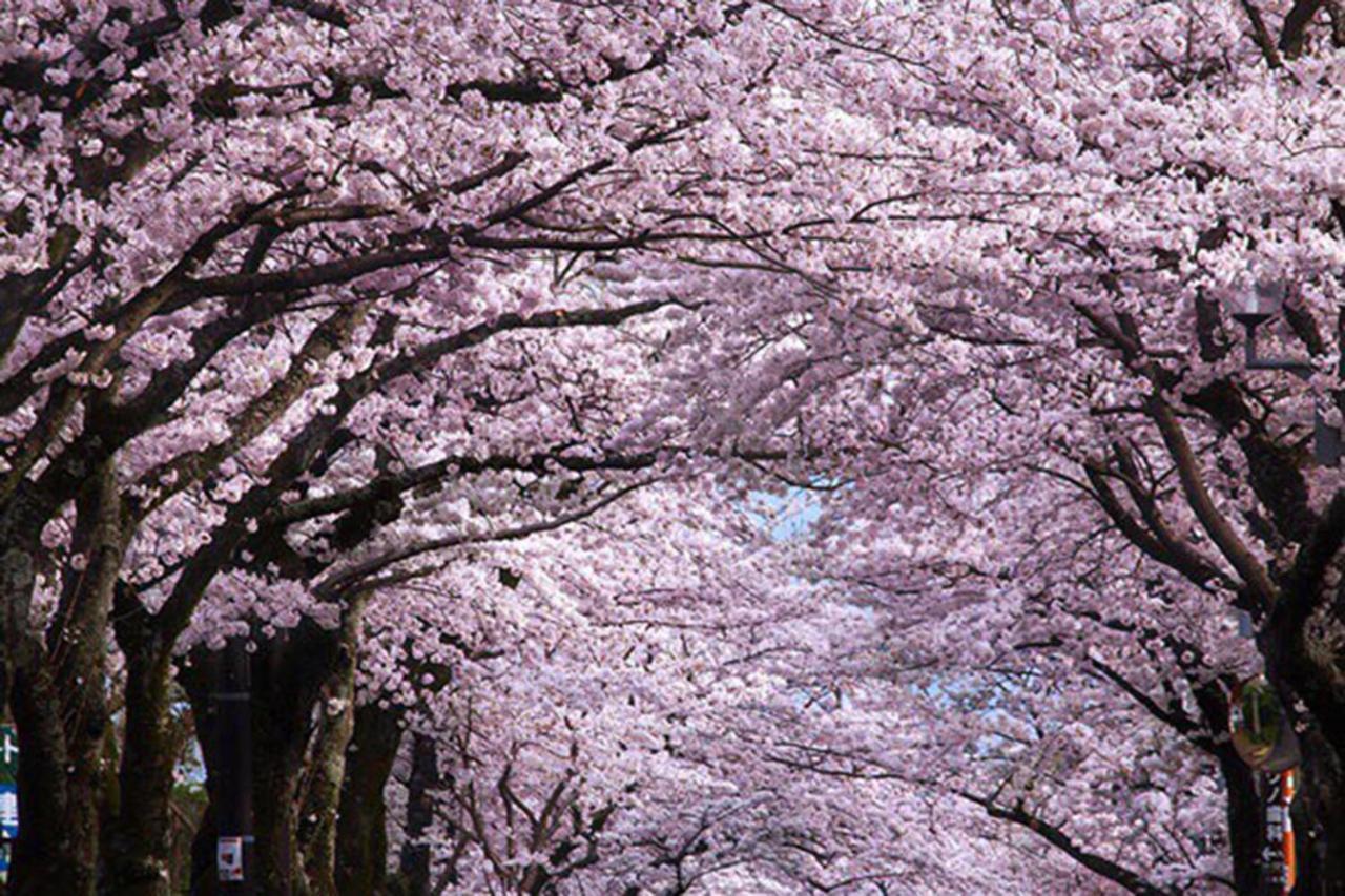 Rinkangekijo Itō Extérieur photo